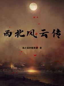 西北风云电视剧在哪里播出